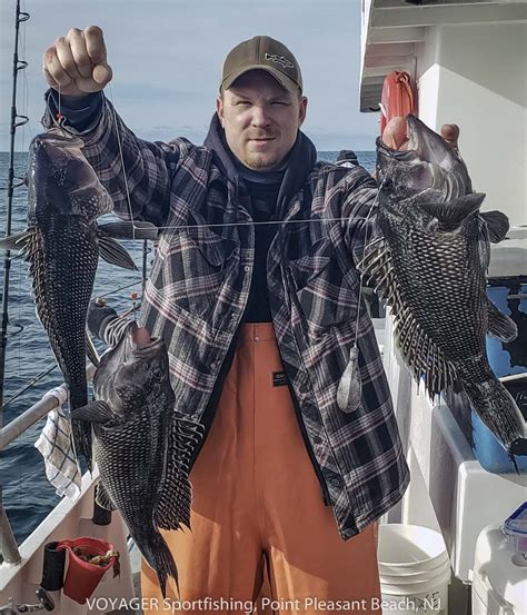 Voyager fishing - Voyager Fishing Charters; Search. Voyager Fishing Charters. 358 Reviews #22 of 41 Boat Tours & Water Sports in North Myrtle Beach. Outdoor Activities, Boat Tours & Water Sports, Tours, Fishing Charters & Tours More. 1525 13th Ave N, North Myrtle Beach, SC 29582-2567. Open today: 7:00 AM - 7:00 PM.